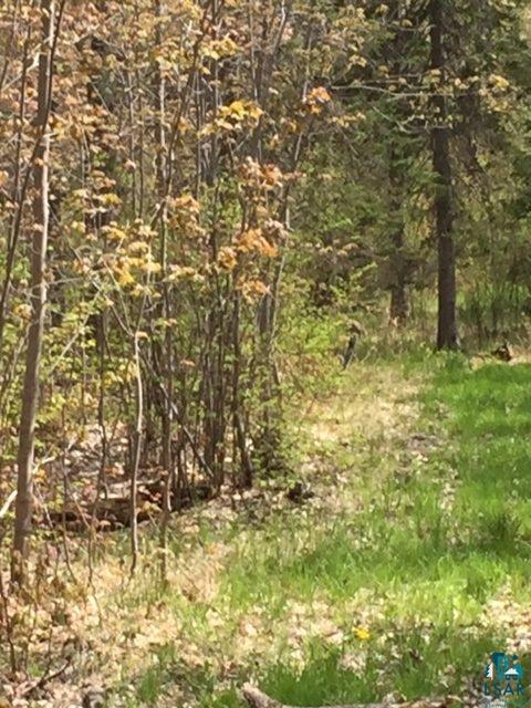 Two Hill Road Two Harbors, MN 55616 - Photo 9 of 24 Gallery Image 9