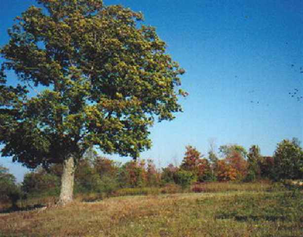 Bozenkill Road Altamont, NY 12009 - Photo 1 of 2 Photo 1