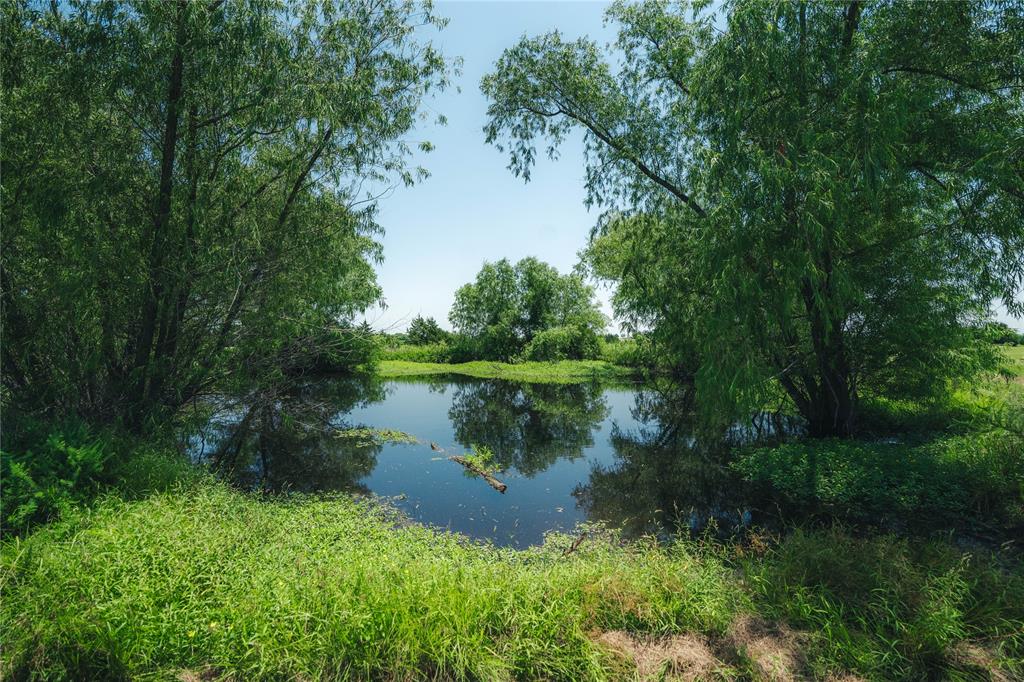 20548 Fm 901 Road Gordonville, TX 76245 - Photo 29 of 39 Pond