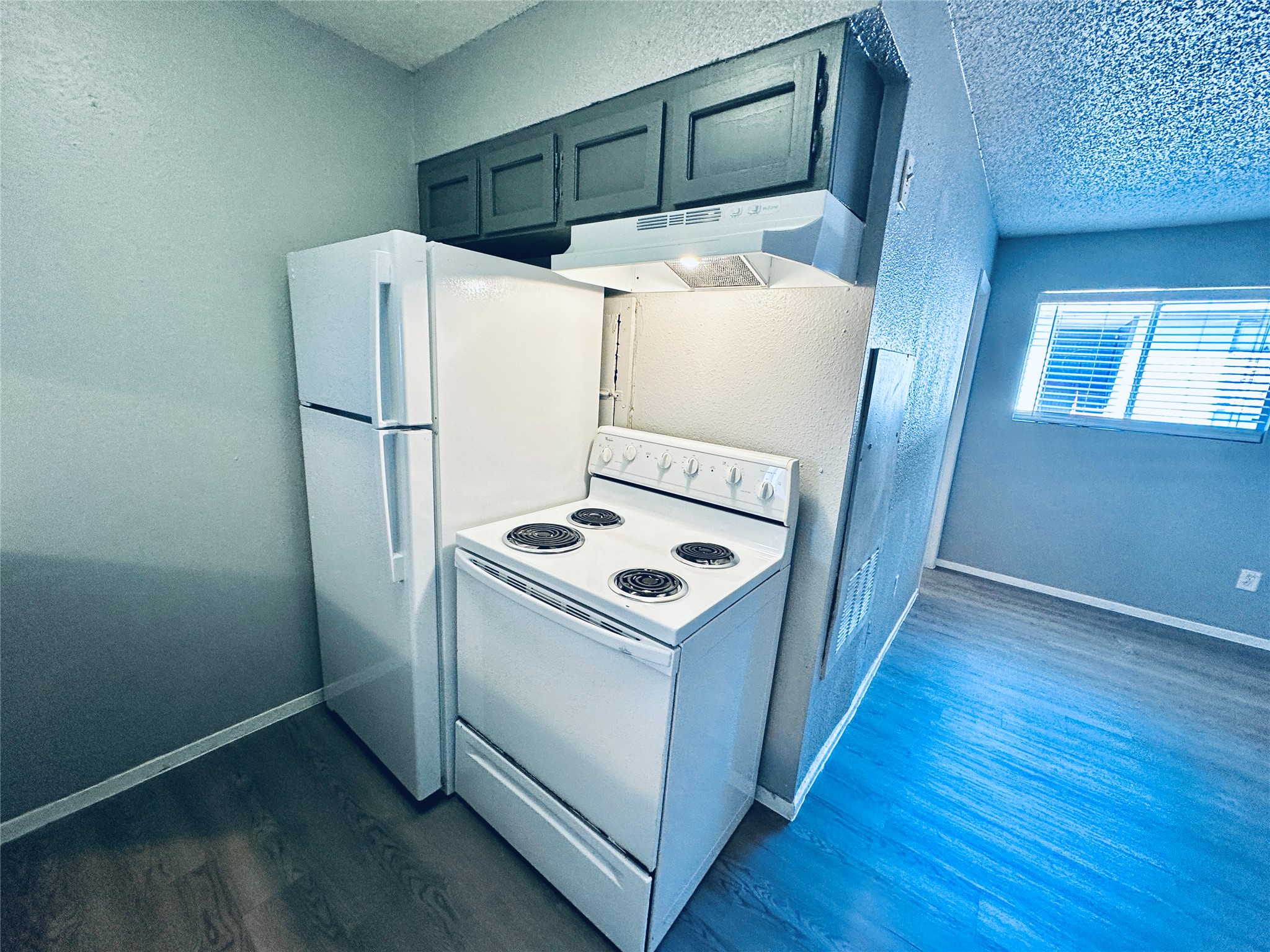 3702 South 2nd Street, Unit 103 Austin, TX 78704 - Photo 7 of 12 a white refrigerator freezer and a wooden floor