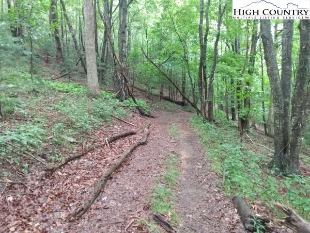 Bare Knob Road Jefferson, NC 28640 - Photo 4 of 13 Gallery Image 4
