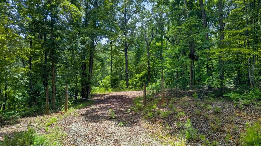 2022 Pleasant Union Road Canton, GA 30114 - Photo 2 of 17