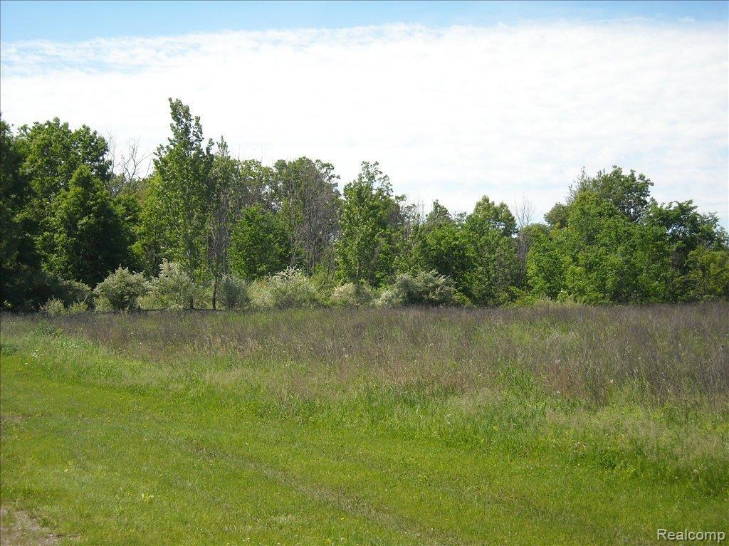 3175 Mason Road Howell, MI 48843 - Photo 10 of 11 3175 Mason land