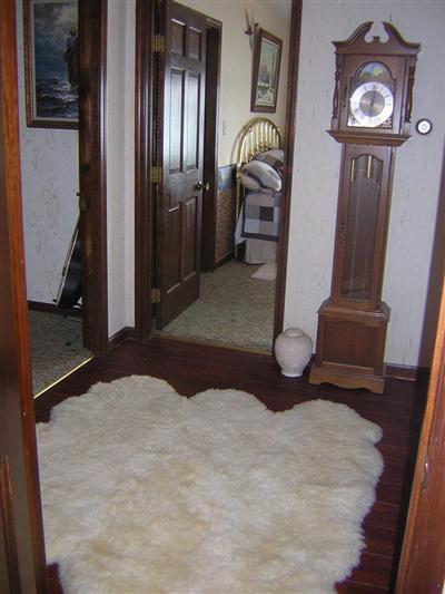 20805 Decatur Road Cassopolis, MI 49031 - Photo 12 of 18 Additional Photo