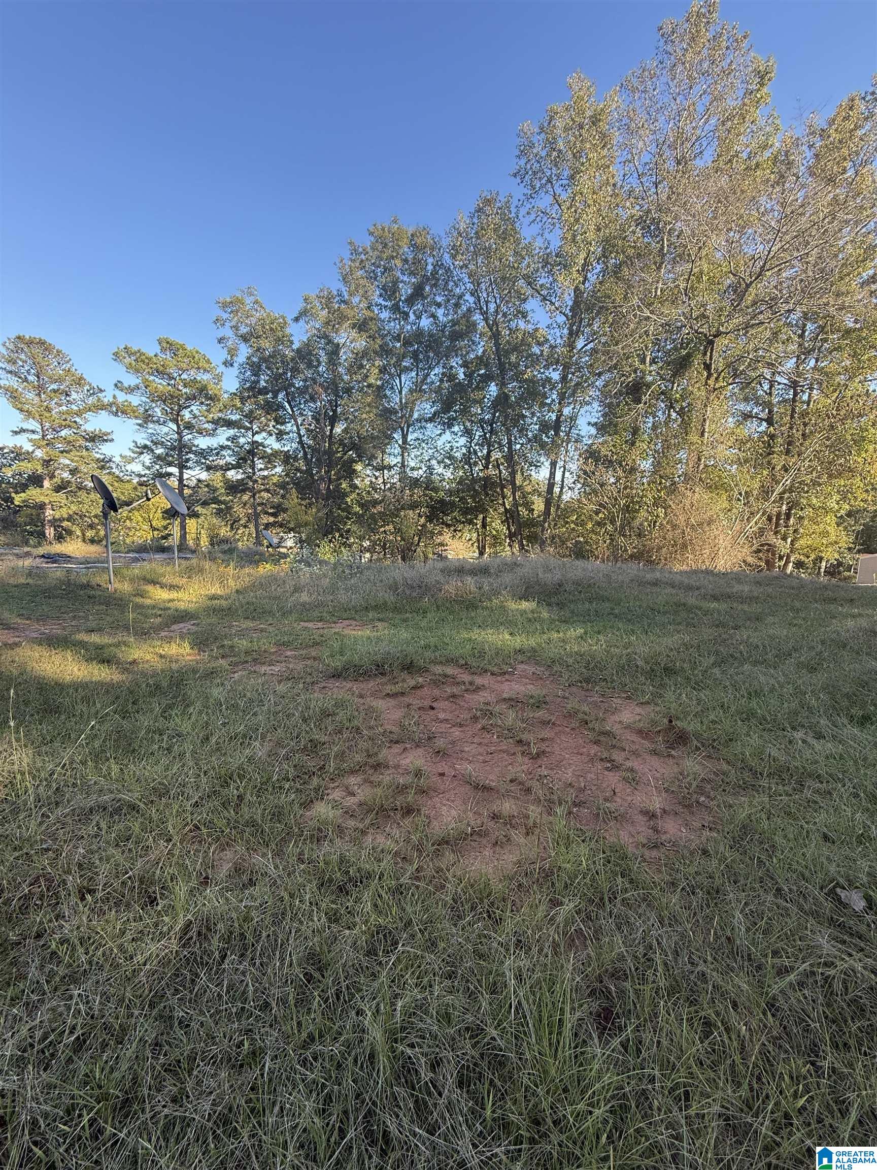 118 Slaughter Street Goodwater, AL 35072 - Photo 2 of 8