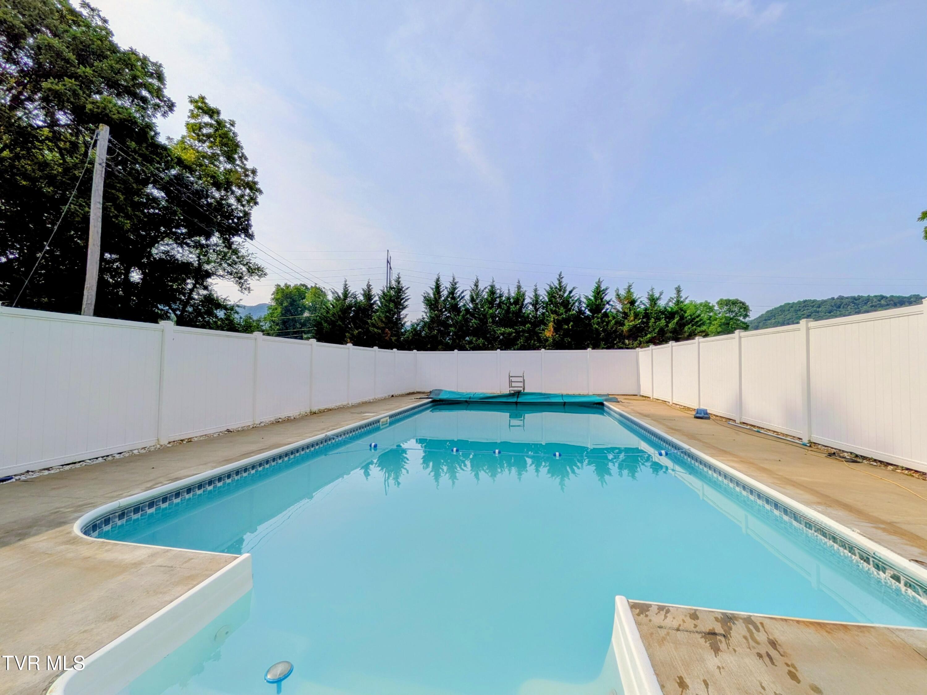 113 Nave Hollow Road Elizabethton, TN 37643 - Photo 76 of 91 Pool(7)