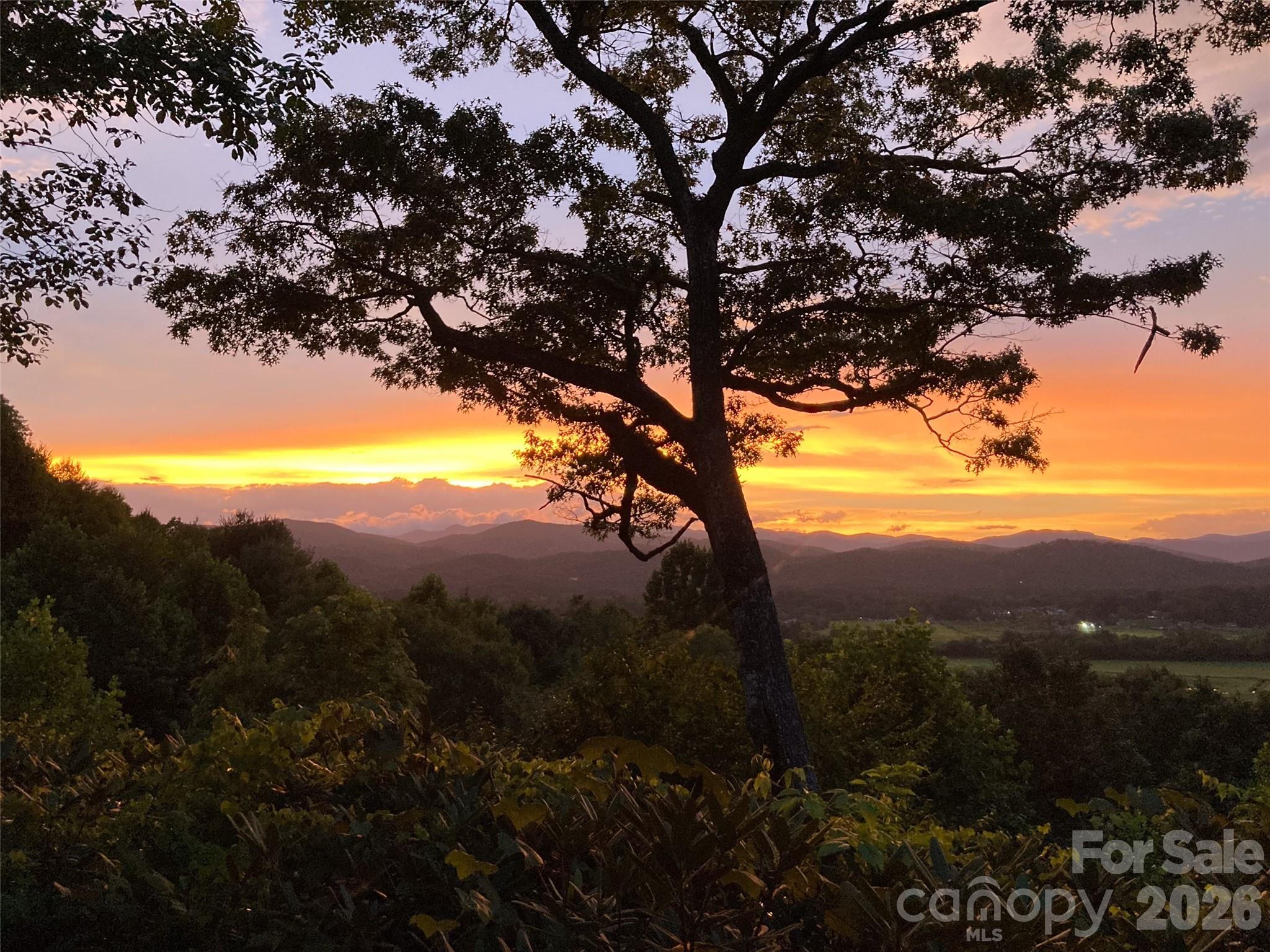 252 Middle Mt Road Pisgah Forest, NC 28768 - Photo 3 of 48 Gallery Image 3