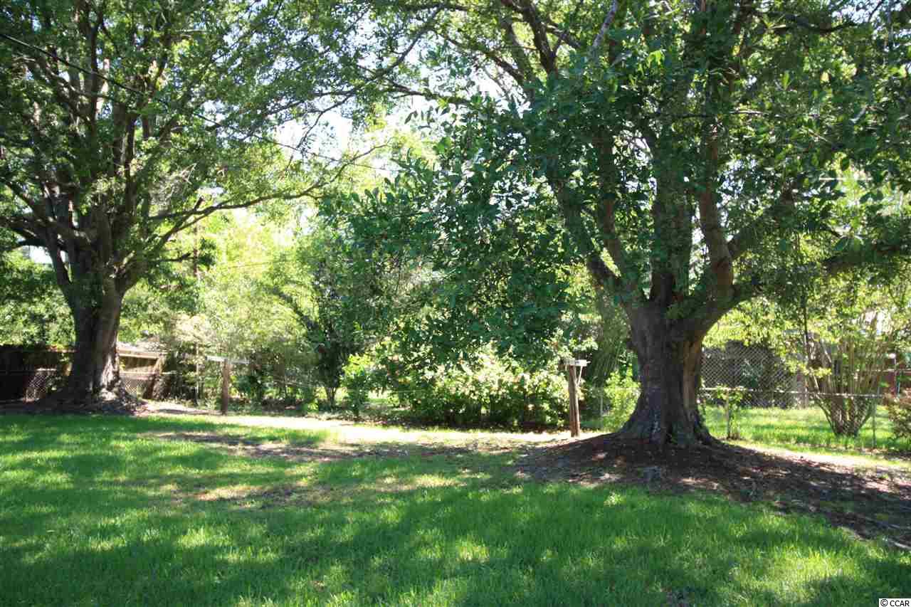 1690 Calhoun Drive Georgetown, SC 29440 - Photo 20 of 21 Gallery Image 20