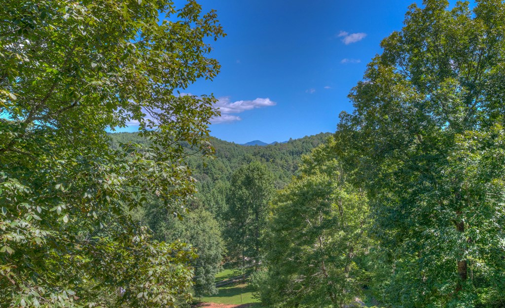 920 McDonald Road Murphy, NC 28906 - Photo 29 of 40 Gallery Image 29