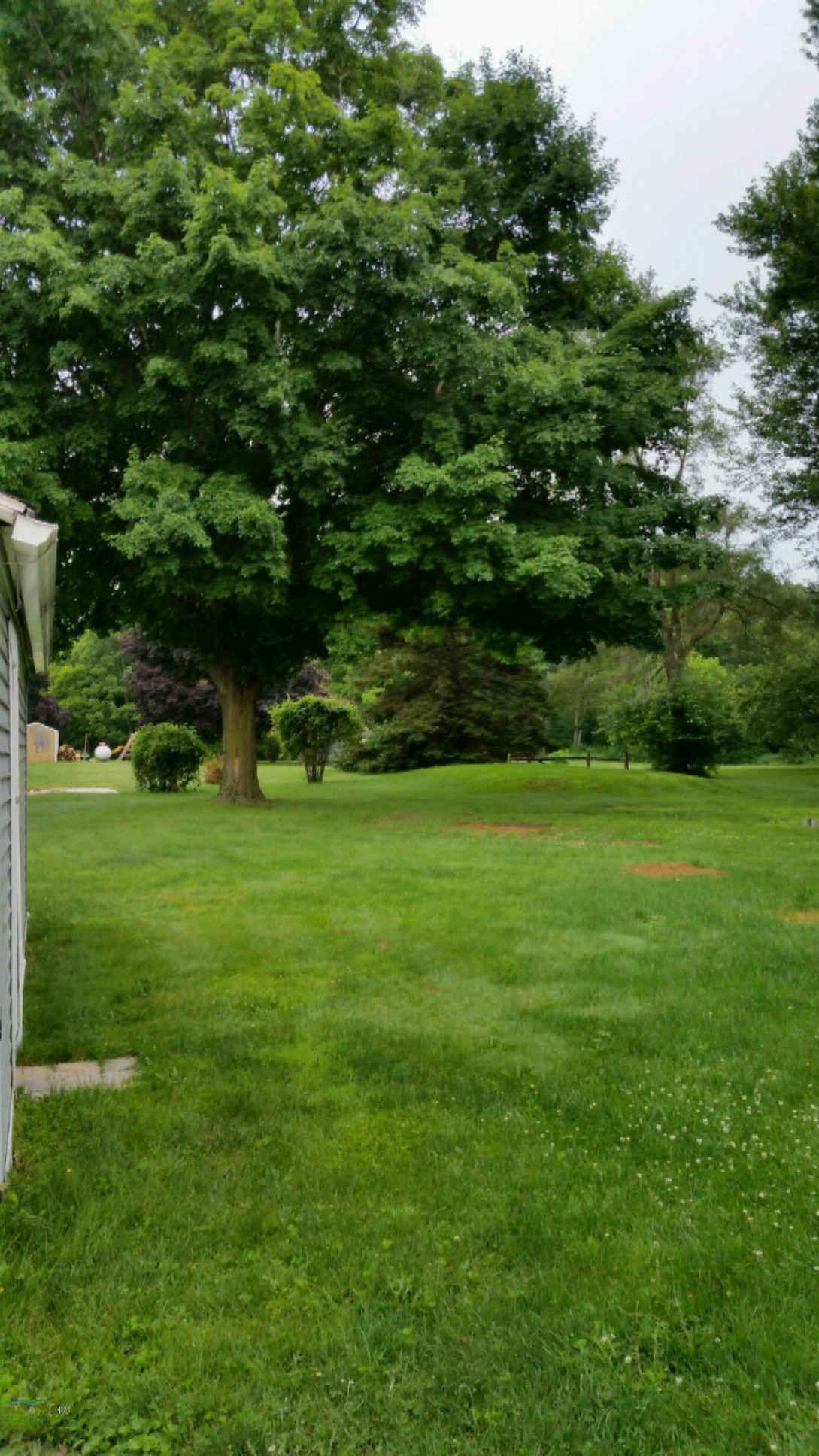 104 North Centennial Road Coldwater, MI 49036 - Photo 4 of 11 back yard