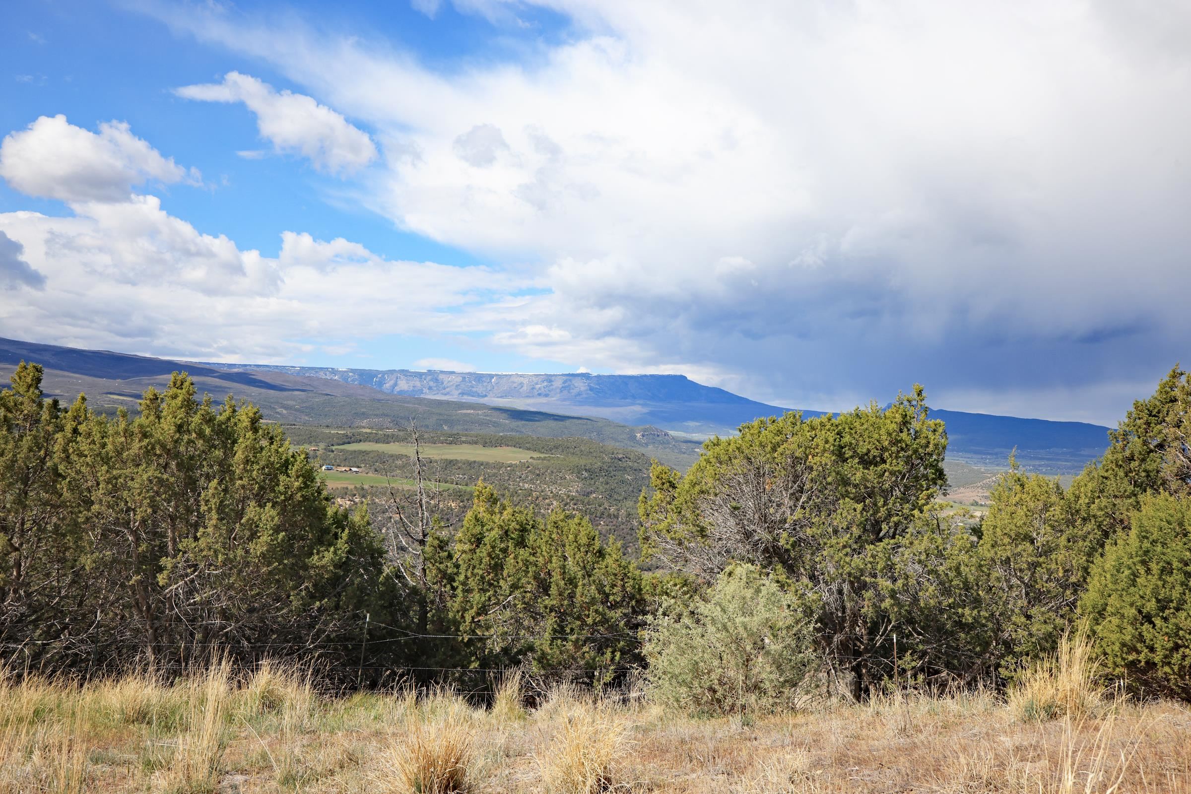 12705 55 Road Collbran, CO 81624 - Photo 7 of 31 a view of a lake with a mountain