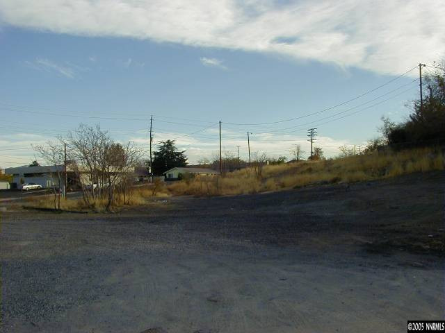 341 Kirman Avenue Reno, NV 89502 - Photo 2 of 4