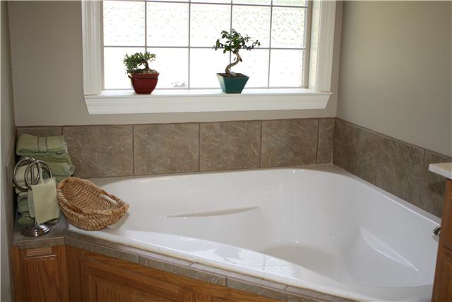 34460 Ardmore Ridge Road Prospect, TN 38477 - Photo 17 of 20 Master Bath - Tub.