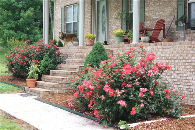 34460 Ardmore Ridge Road Prospect, TN 38477 - Photo 2 of 20 Close-Up View of Landscaping
