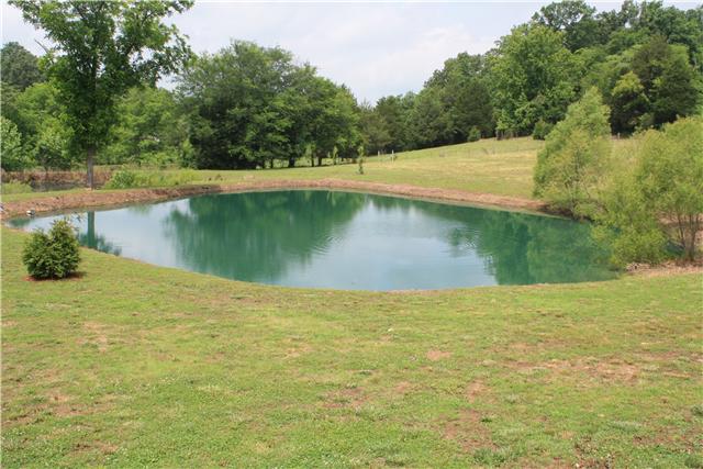 34460 Ardmore Ridge Road Prospect, TN 38477 - Photo 5 of 20 Pond