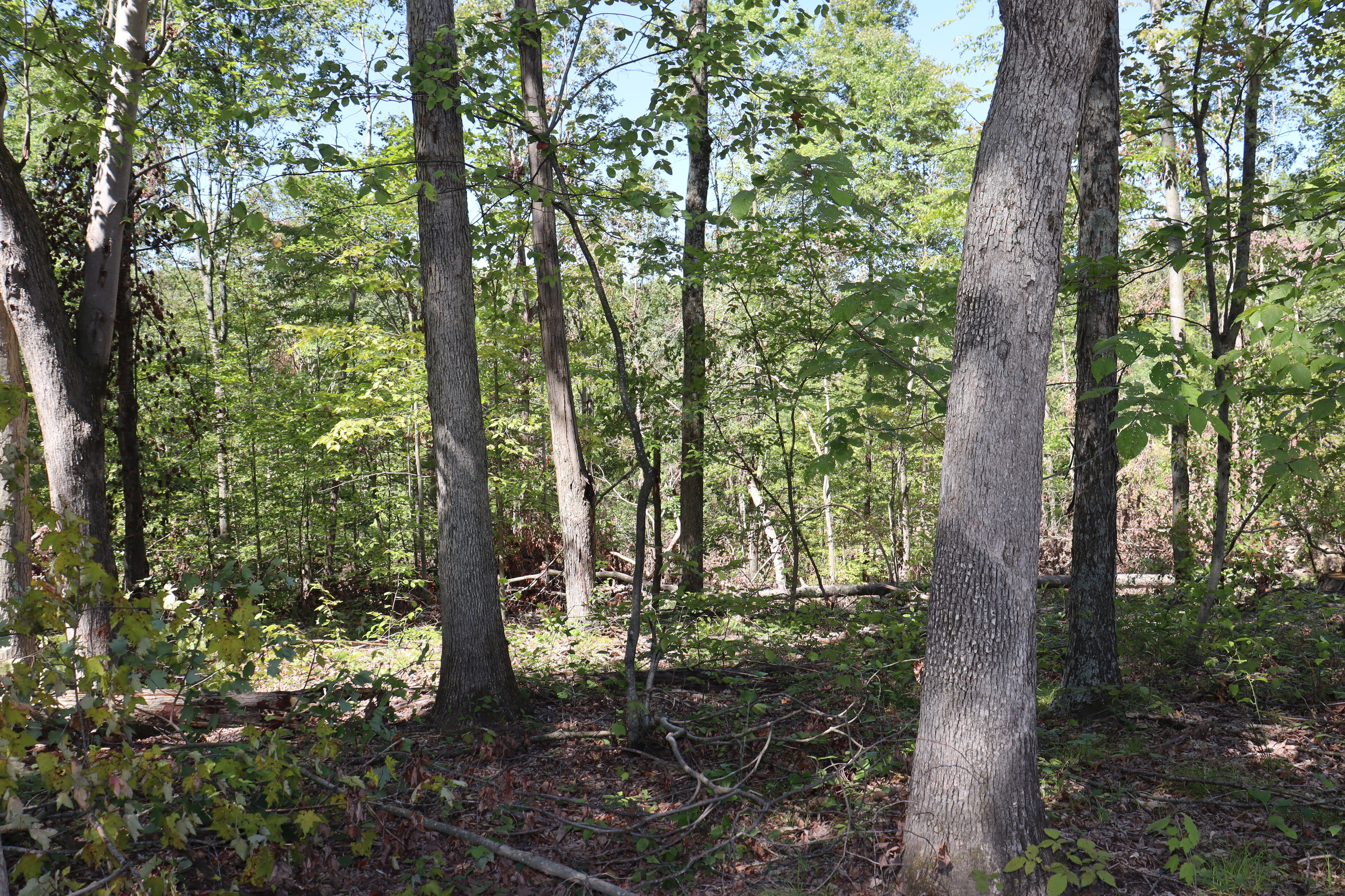 0 East Coyle Road Unionville, IN 47468 - Photo 20 of 34