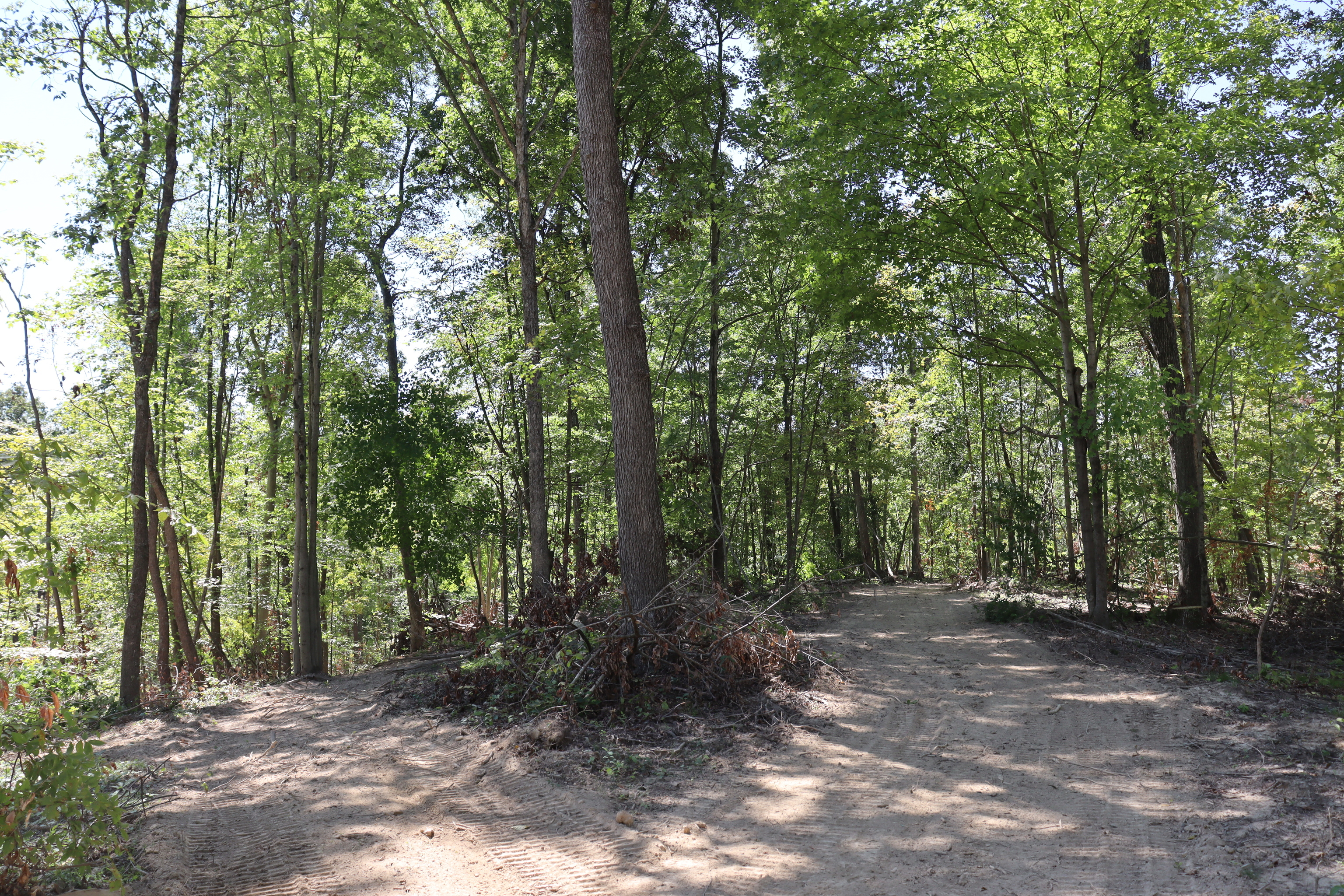 0 East Coyle Road Unionville, IN 47468 - Photo 21 of 34