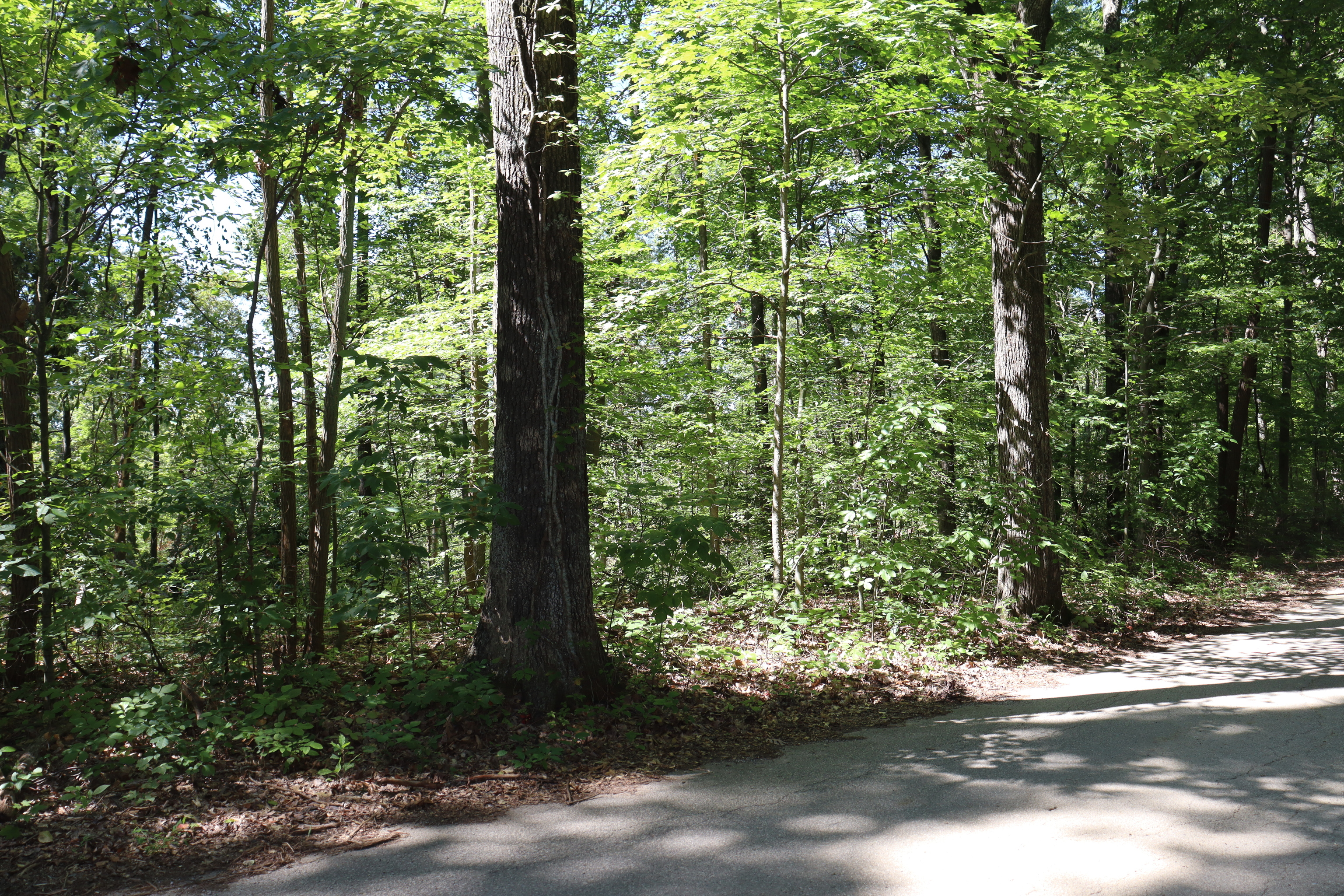 0 East Coyle Road Unionville, IN 47468 - Photo 29 of 34
