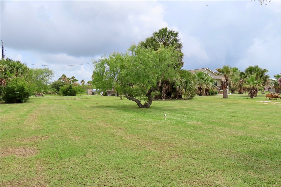 118 Salt Lake Road Rockport, TX 78382 - Photo 17 of 34 a view of a garden with a building