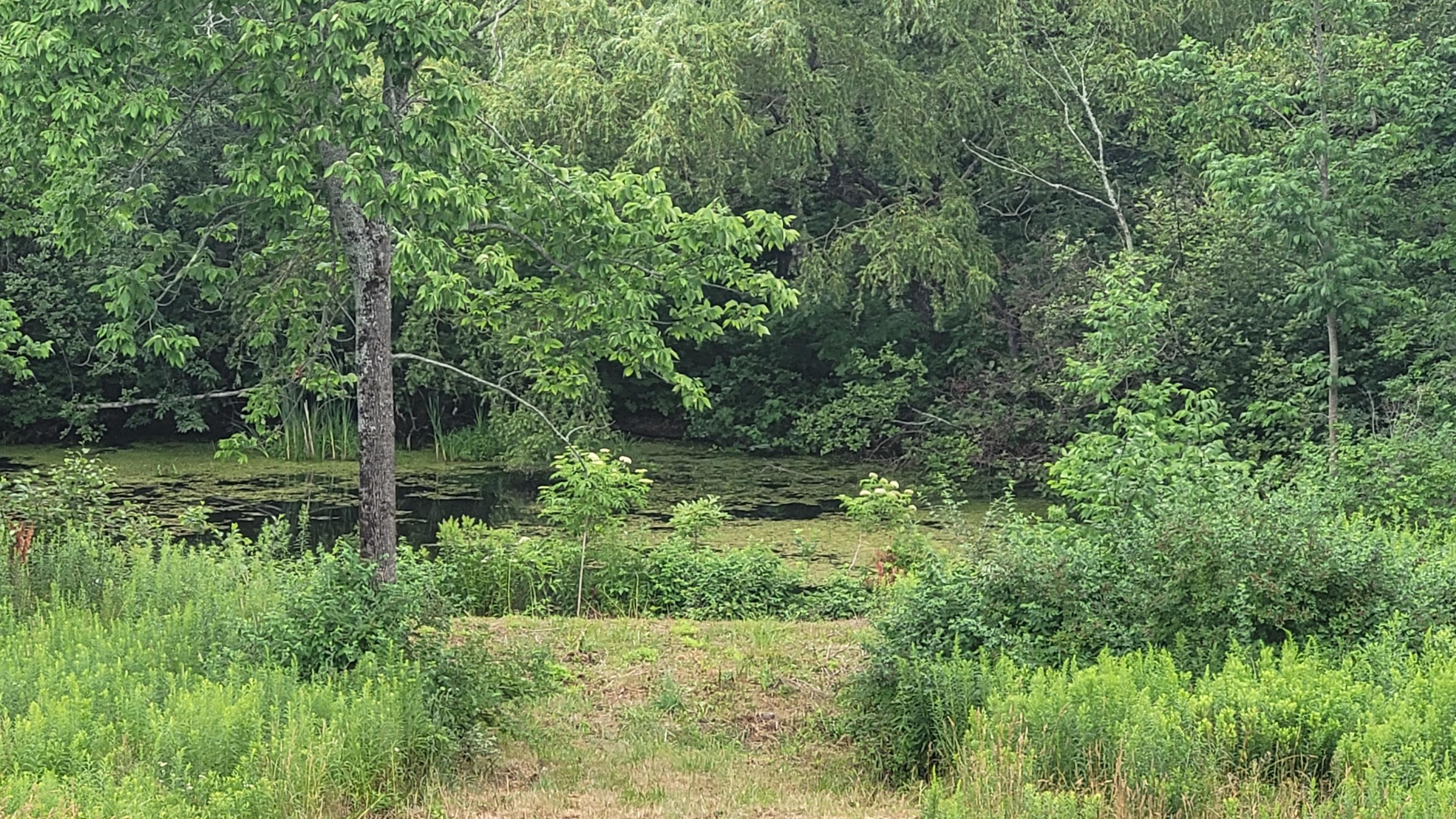 921 Milo Road Sebec, ME 04481 - Photo 6 of 45 20210706_101126