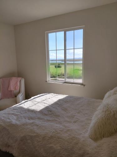 528 Wetlands Edge Road American Canyon, CA 94503 - Photo 36 of 55