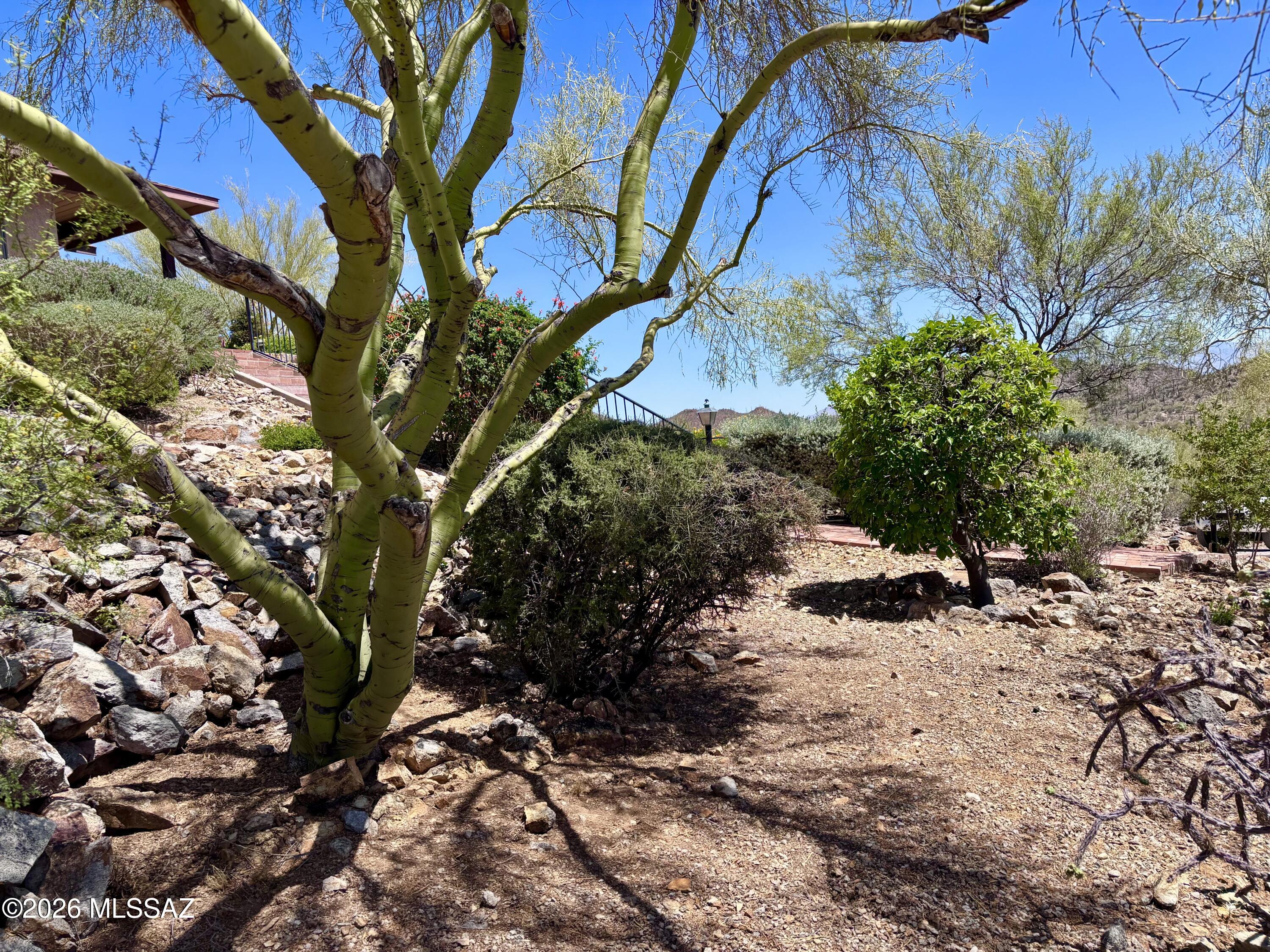 3955 West Coyote Ridge Trail Tucson, AZ 85746 - Photo 9 of 46