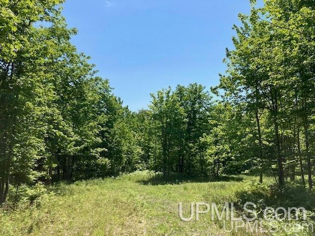 Tbd Worham Road Chassell, MI 49916 - Photo 9 of 45 Gallery Image 9