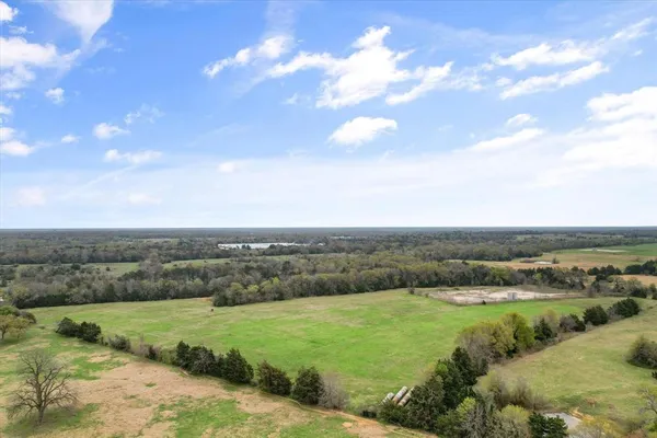 a view of a field with grass and trees
