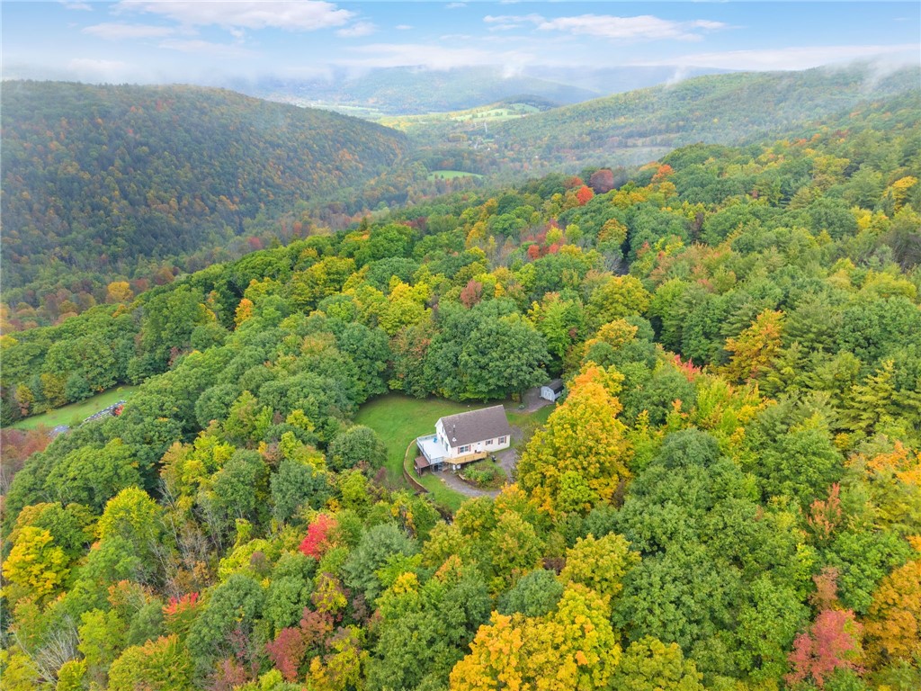 200 High Pine Meadows Road Fulton, NY 12122 - Photo 2 of 50 Gallery Image 2