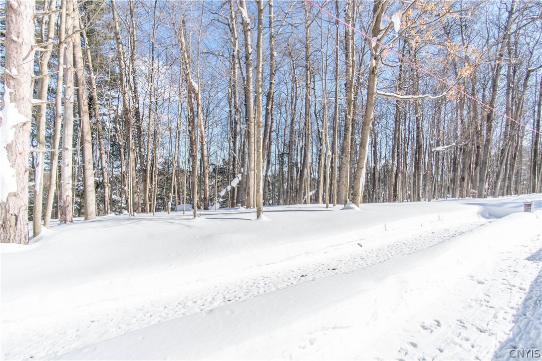 34201 Jackson II Road Champion, NY 13619 - Photo 13 of 44