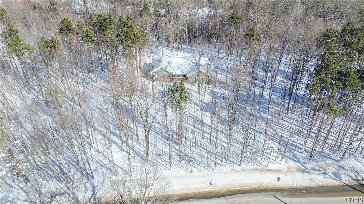 34201 Jackson II Road Champion, NY 13619 - Photo 40 of 44