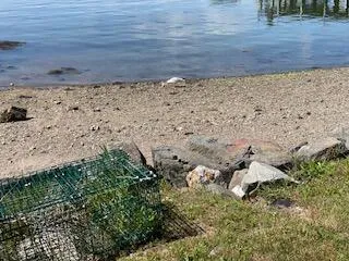 $1,175,000 | 13 McMullen Avenue, Tremont, ME 04653