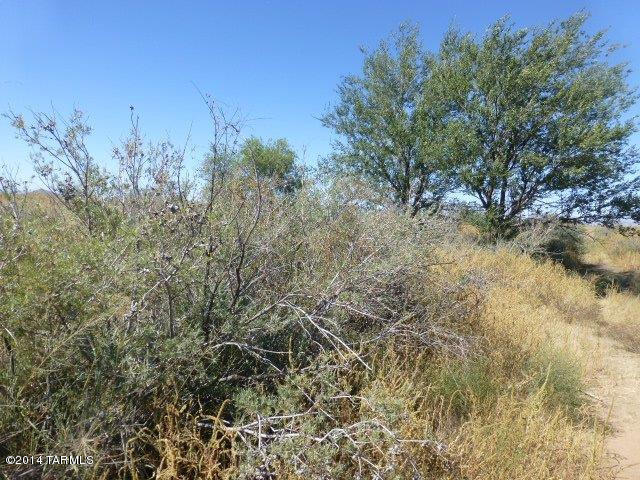 0 South Ash Creek Road Pearce, AZ 85625 - Photo 3 of 9