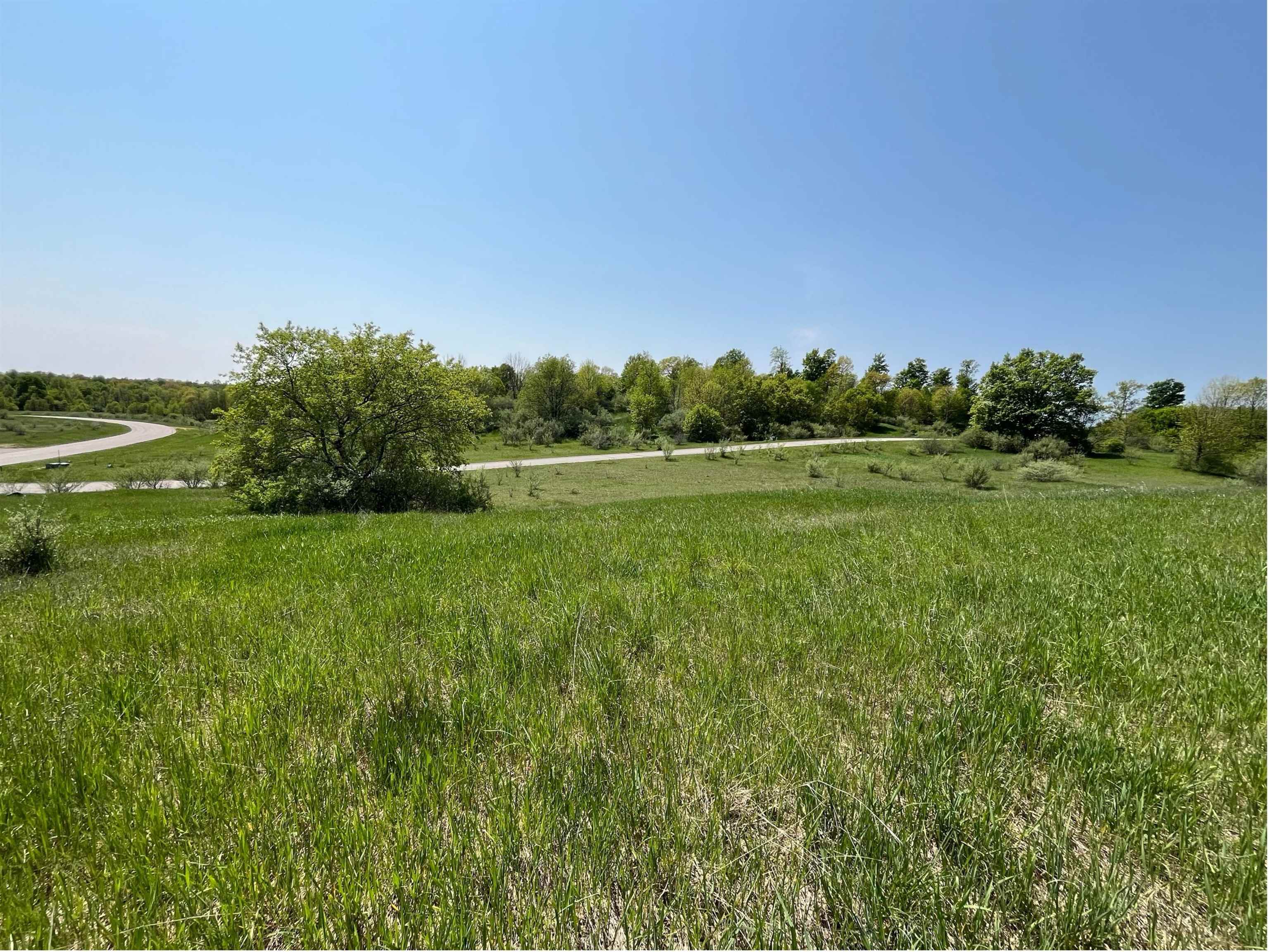 Lot 37 Florey's Ranch Road Grawn, MI 49637 - Photo 4 of 11 1925764-A648C1D0-B5AD-4F89-A4CA-0D28133C0579.JPG