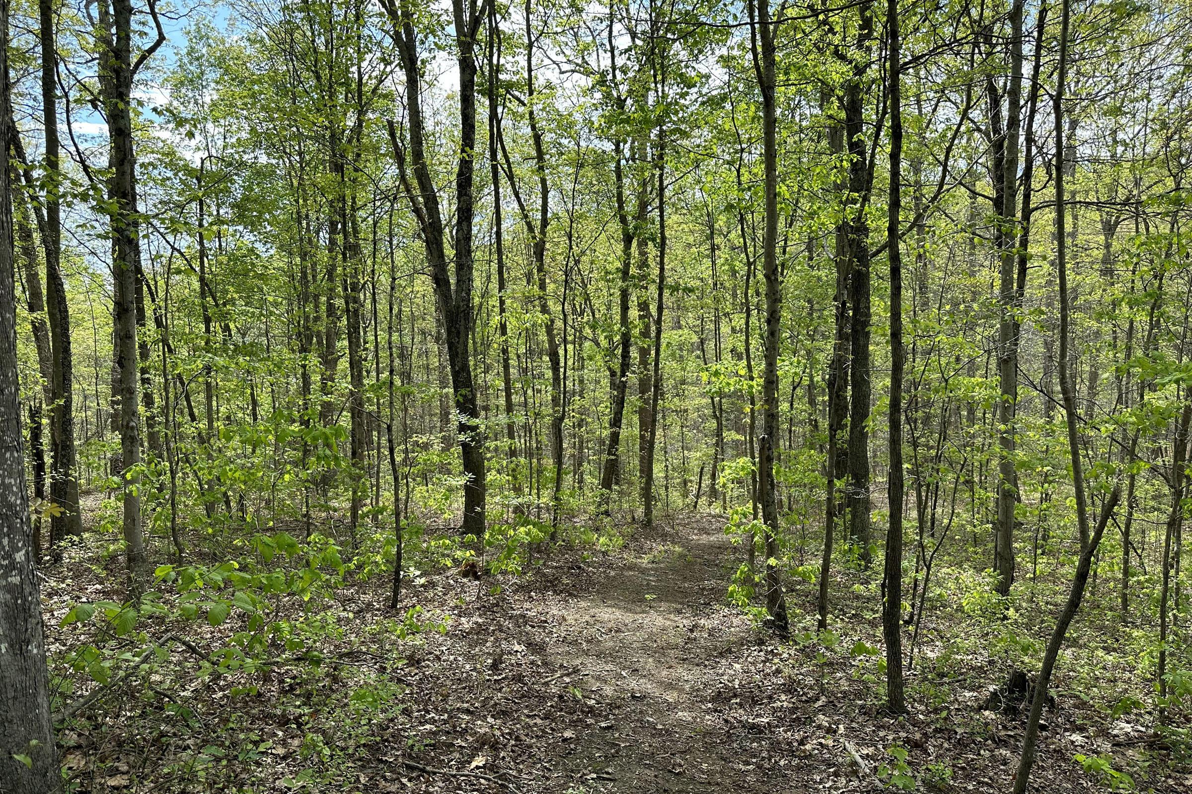 0 Harrison Road, Unit TRACT 7) Jackson, OH 45640 - Photo 52 of 91 20230506_195533134_iOS