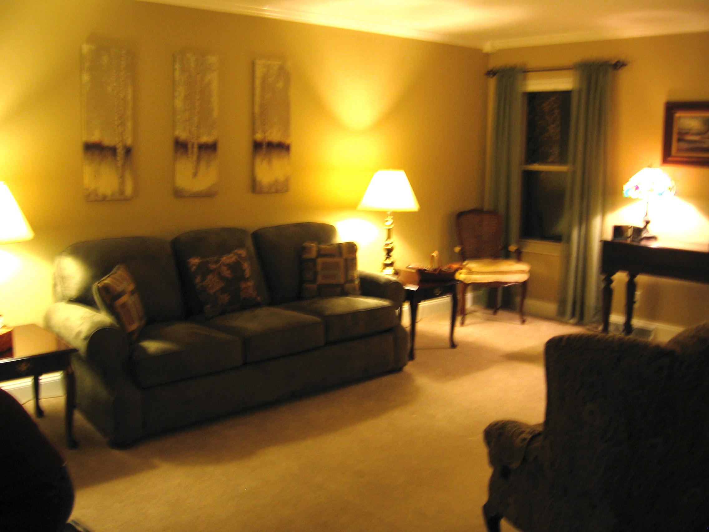 205 Lakeview Lane Oak Ridge, TN 37830 - Photo 19 of 37 Warm Cozy Living Room