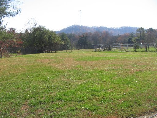 205 Lakeview Lane Oak Ridge, TN 37830 - Photo 36 of 37 View of Property from House