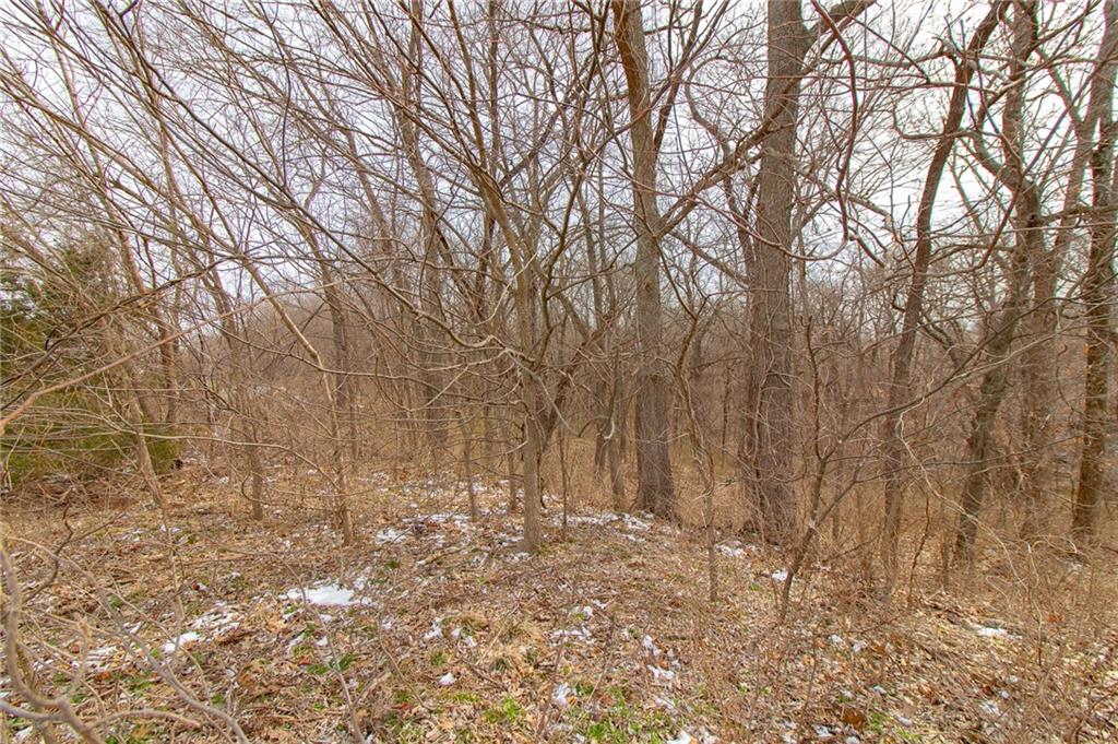 1270 Southwest 50th Road Holden, MO 64040 - Photo 50 of 54