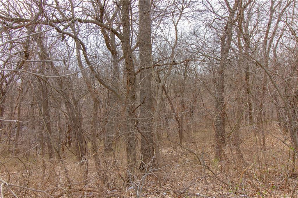 1270 Southwest 50th Road Holden, MO 64040 - Photo 51 of 54