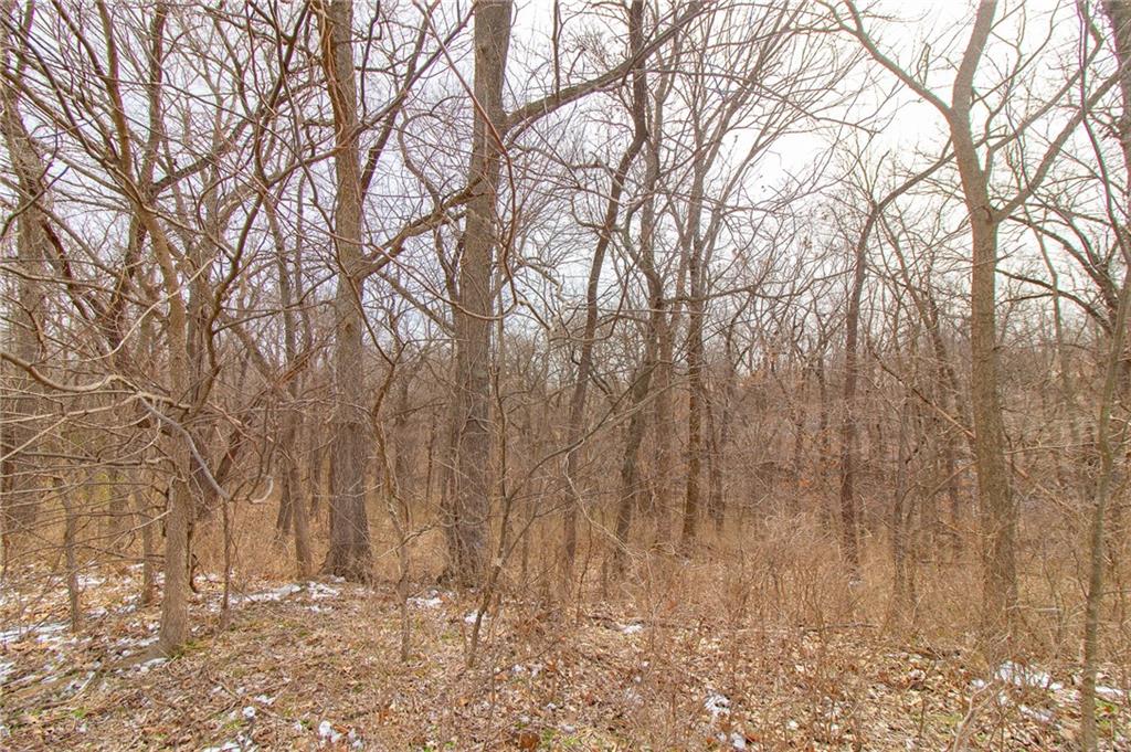 1270 Southwest 50th Road Holden, MO 64040 - Photo 52 of 54