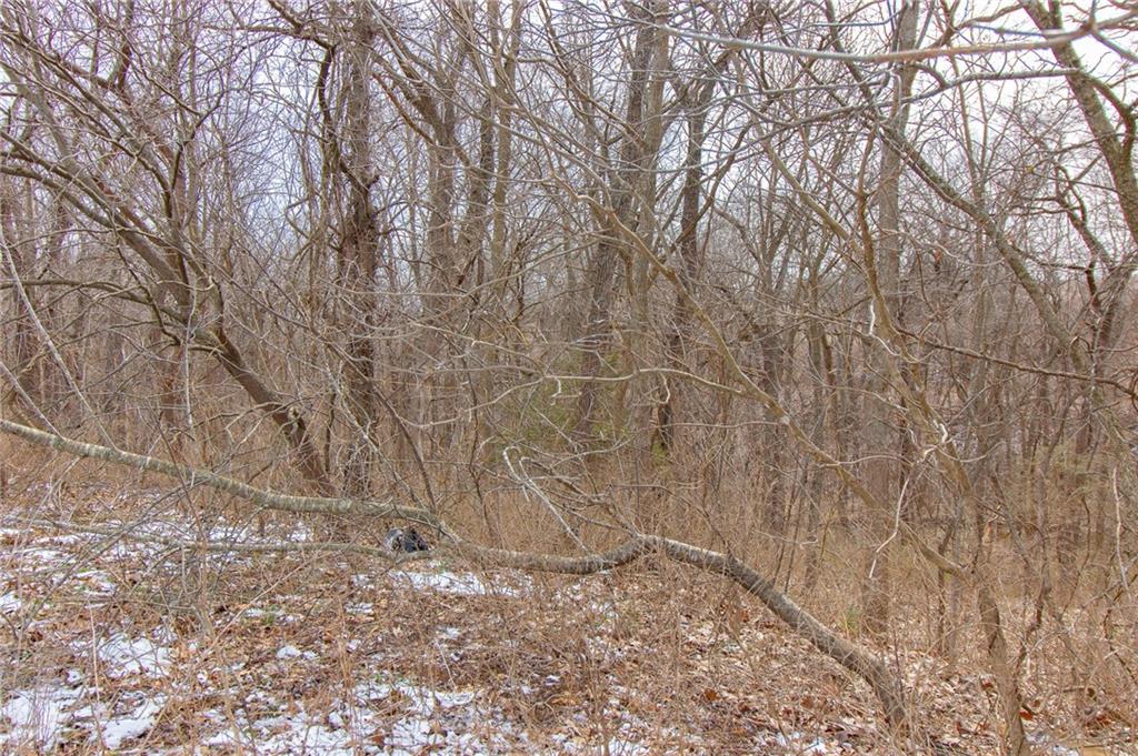 1270 Southwest 50th Road Holden, MO 64040 - Photo 53 of 54