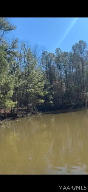 40 West County Road Billingsley, AL 36006 - Photo 29 of 36 Gallery Image 29