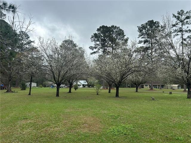 11042 Pine Ridge Circle Bogalusa, LA 70427 - Photo 30 of 30