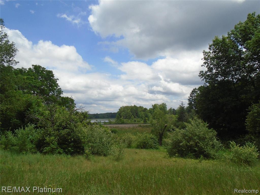 6995 Chilson Road Howell, MI 48843 - Photo 8 of 17