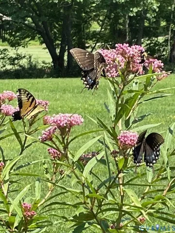 $840,000 | 2019 Sycamore Creek Drive, Manakin-Sabot, VA 23103