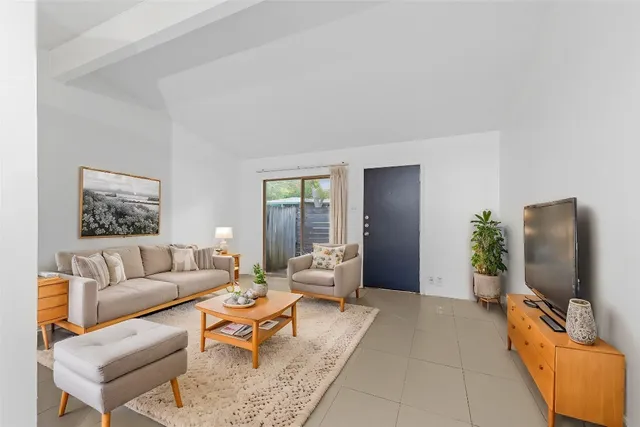 a living room with furniture a flat screen tv and a potted plant