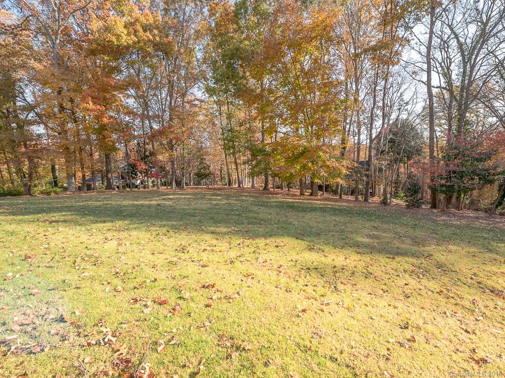 1011 Reverdy Lane Matthews, NC 28105 - Photo 17 of 19