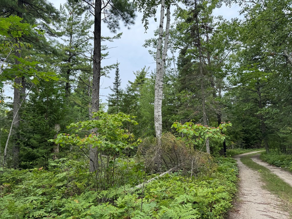 Europe Bay Road Ellison Bay, WI 54210 - Photo 12 of 13 Gallery Image 12