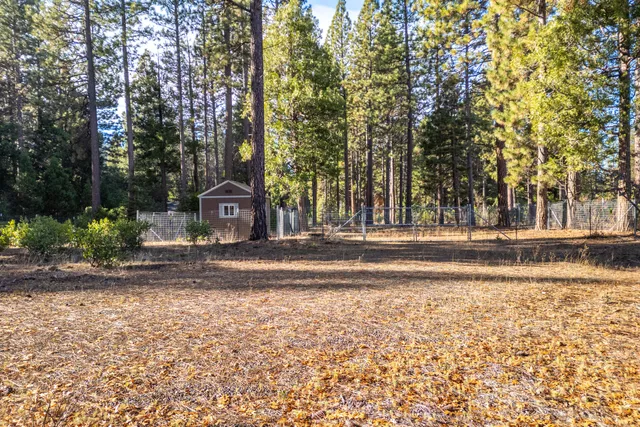 a house view with a yard
