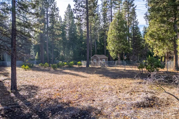 a view of a yard with a tree